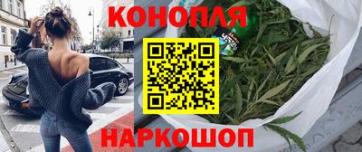 прущие грибы Дмитров