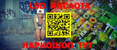 прущие грибы Дмитров