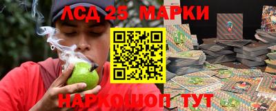 прущие грибы Дмитров