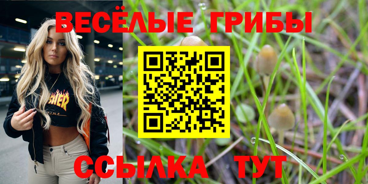 продажа наркотиков  Псилоцибиновые грибы Magic Shrooms  Санкт-Петербург  Вход с VPN  Псилоцибиновые грибы GOLDEN TEACHER 